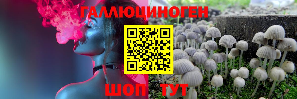 что такое   Псилоцибиновые грибы Psilocybine cubensis  Галлюциногенные грибы Cubensis  Вход с VPN  Свободный 